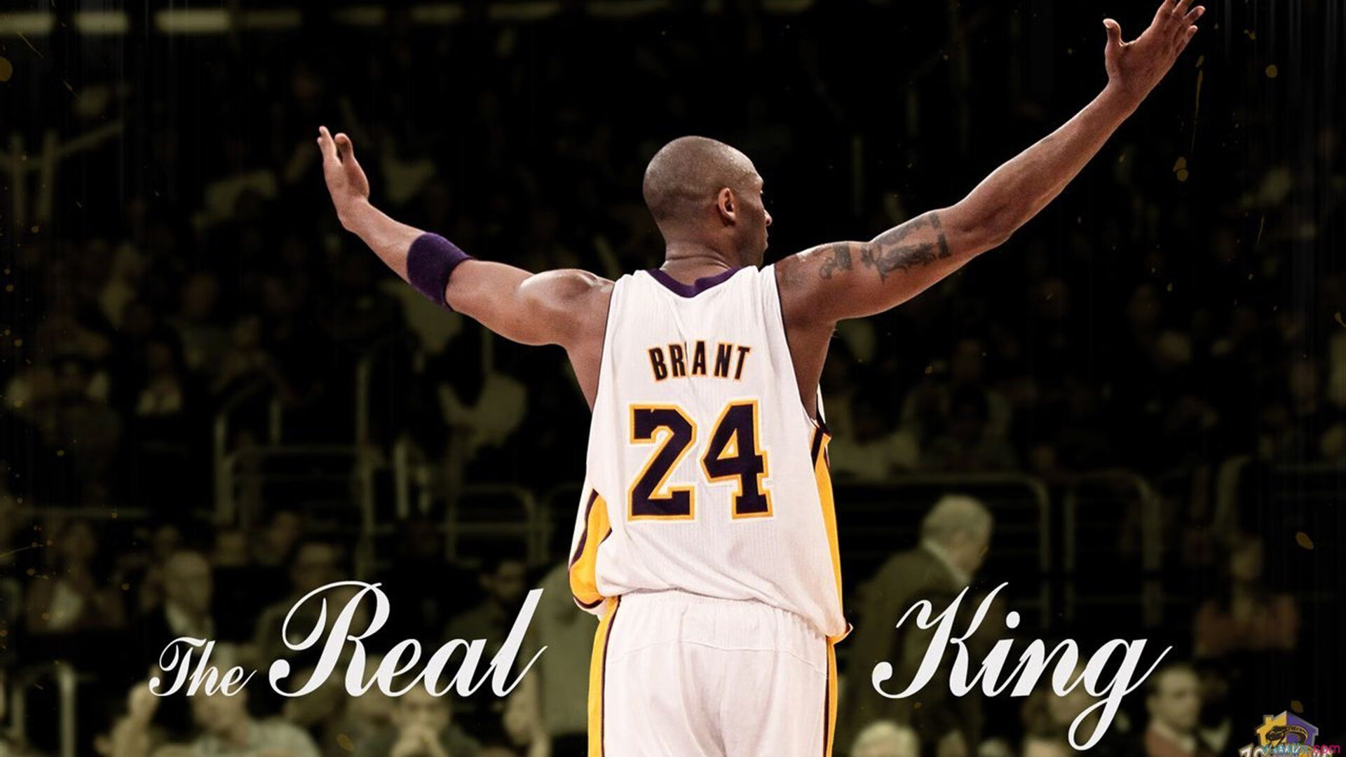 中国游泳队亚运会再创佳绩 新秀崛起老将坚守