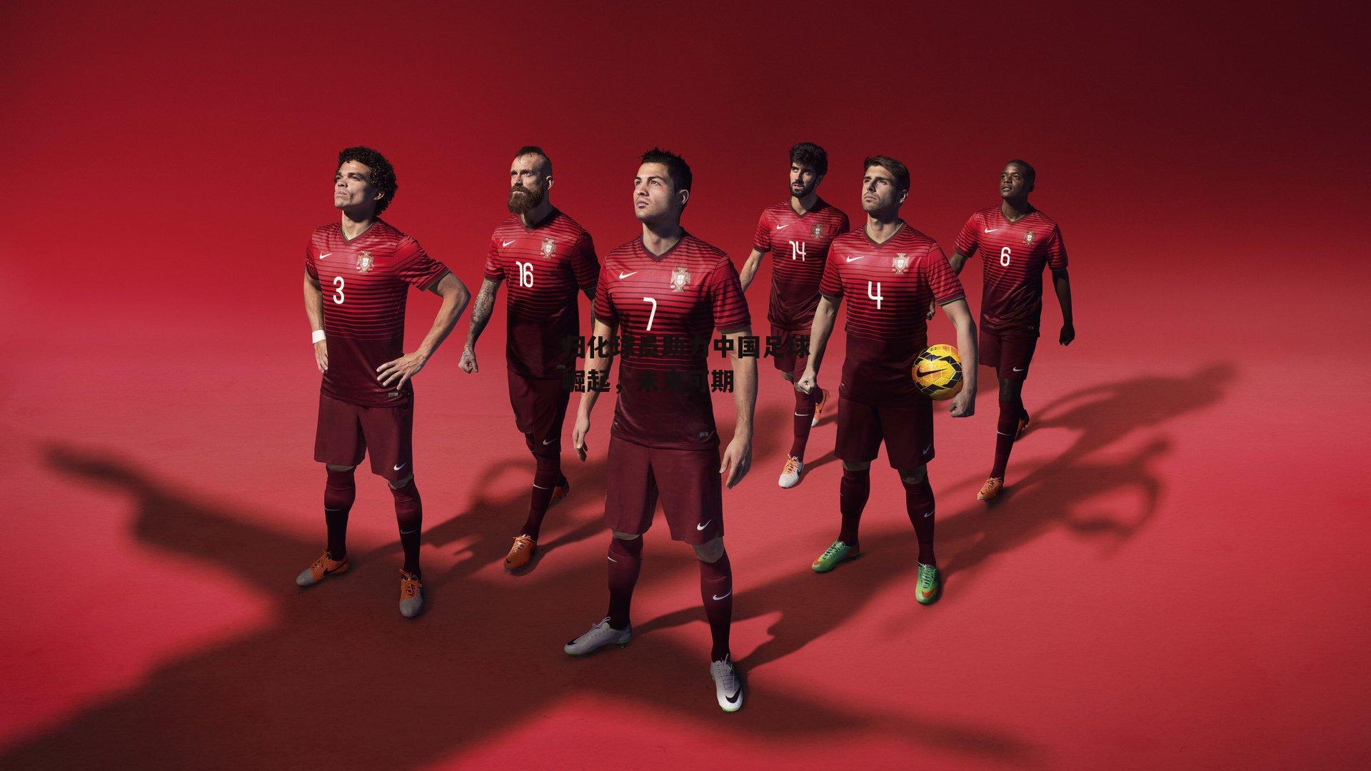 归化球员助力中国足球崛起，未来可期