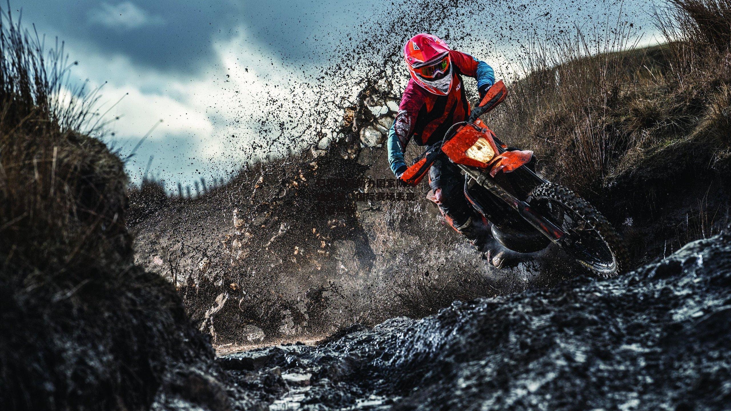 归化球员助力国家队突破瓶颈，国际赛场表现引发热议